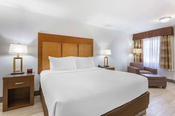 Standard Room, 1 King Bed