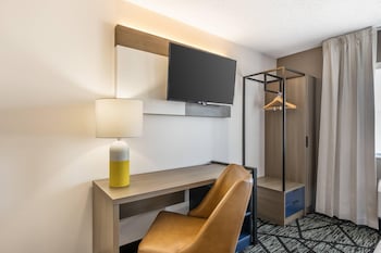 Suite, 1 King Bed with Sofa bed, Non Smoking
