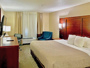 Standard Room, 1 King Bed, Non Smoking