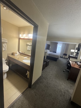 Suite, 1 King Bed with Sofa bed, Non Smoking