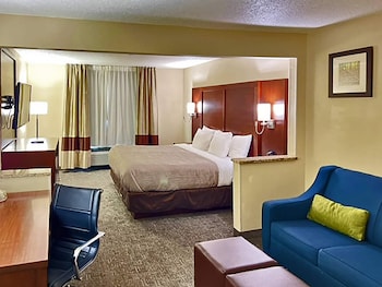 Suite, 1 King Bed with Sofa bed, Non Smoking