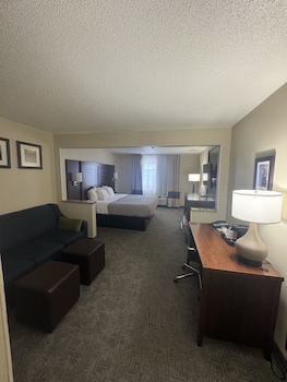 Suite, 1 King Bed with Sofa bed, Non Smoking