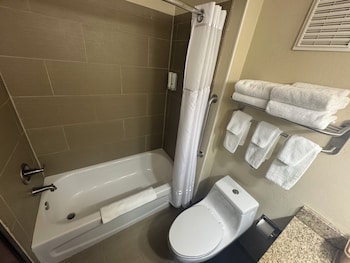 Suite, 1 King Bed with Sofa bed, Non Smoking
