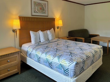 Deluxe Room, 1 King Bed, Non Smoking, Refrigerator & Microwave