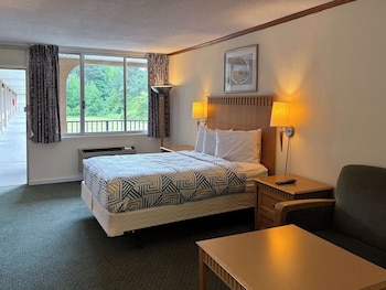 Deluxe Room, 1 King Bed, Non Smoking, Refrigerator & Microwave