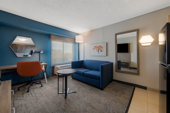 Suite, 1 King Bed, Accessible