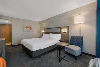Room, 1 King Bed, Accessible (Roll-In Shower)