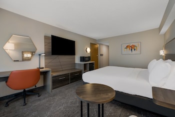 Room, 1 King Bed, Accessible (Roll-In Shower)