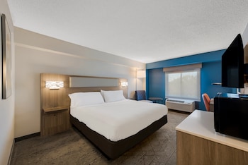 Standard Room, 1 King Bed, Accessible (Mobility)