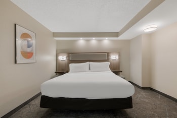 Suite, 1 Bedroom