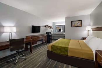 Standard Room, 1 King Bed, Non Smoking