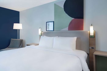 Room, 1 King Bed
