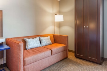 Premium Room, 1 King Bed with Sofa bed