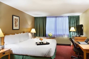 Standard Room, 1 King Bed