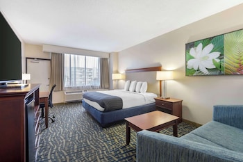 Standard Room, 1 King Bed, Non Smoking