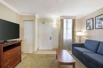 Family Suite, 1 King Bed, Non Smoking, Kitchenette (with Sofabed)