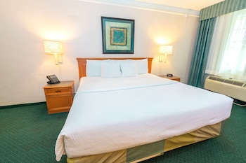 Deluxe Room, 1 King Bed, Non Smoking