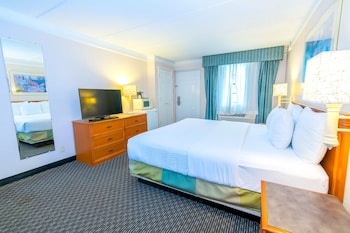 Room, 1 King Bed, Smoking