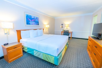 Deluxe Room, 1 King Bed, Non Smoking
