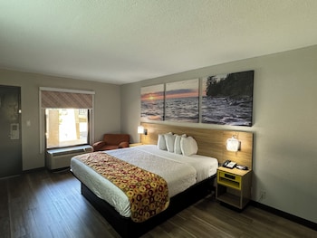 Room, 1 King Bed, Non Smoking
