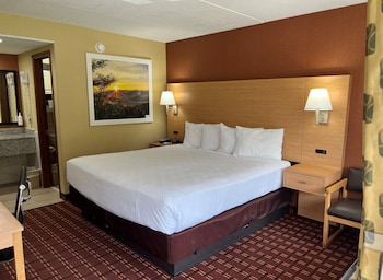 Standard Room, 1 King Bed, Non Smoking
