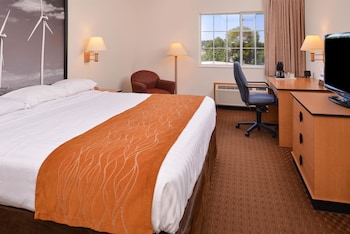 Room, 1 King Bed, Non Smoking