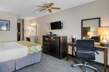 Standard Room, 1 Queen Bed, Non Smoking, Refrigerator & Microwave