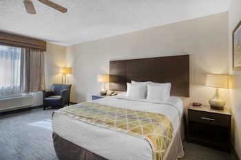 Standard Room, 1 Queen Bed, Non Smoking, Refrigerator & Microwave