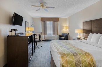 Standard Room, 1 Queen Bed, Non Smoking, Refrigerator & Microwave