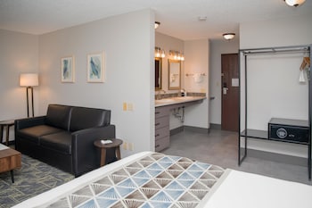 Suite, 1 King Bed, Non Smoking, Kitchenette (with Sofabed)