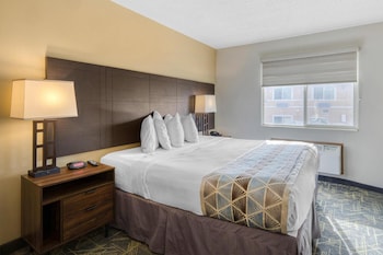 Standard Room, 1 King Bed, Non Smoking, Refrigerator & Microwave