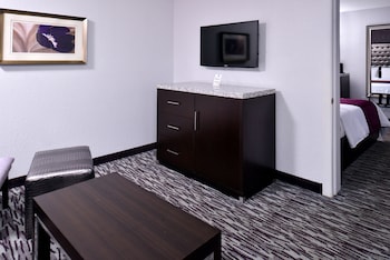 Suite, Multiple Beds, Non Smoking (Pet Friendly)