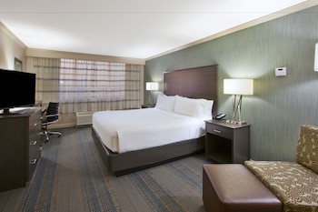 Suite, 1 Bedroom