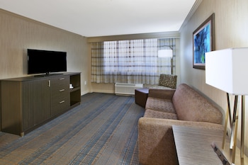 Suite, 1 Bedroom