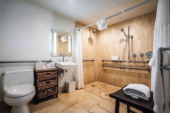 Room, 1 King Bed, Accessible (Roll In Shower)