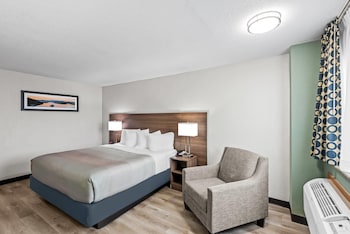 Standard Room, 1 King Bed, Non Smoking