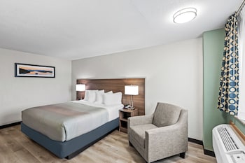 Standard Room, 1 King Bed, Non Smoking