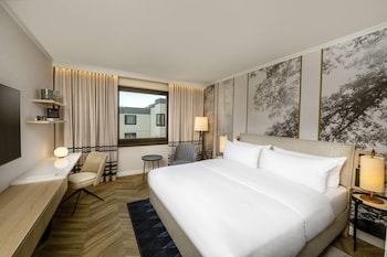 Room, 1 King Bed