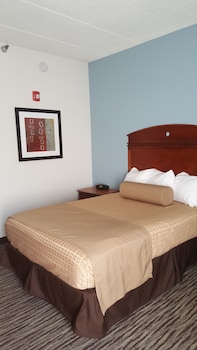 Standard Room, 1 Double Bed, Accessible