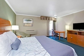 Room, 1 Queen Bed, Non Smoking