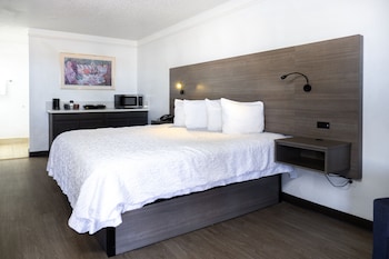 Room, 1 King Bed
