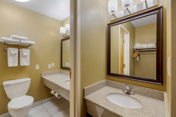 Standard Room, 1 King Bed, Non Smoking, Jetted Tub