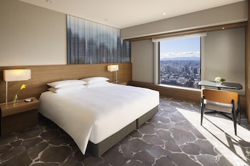 Room, 1 King Bed, Park View