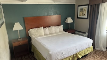 Room, 1 Queen Bed, Accessible, Non Smoking (Mobility, Roll-in Shower)