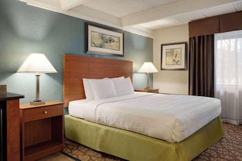 Room, 1 King Bed, Non Smoking, Kitchenette