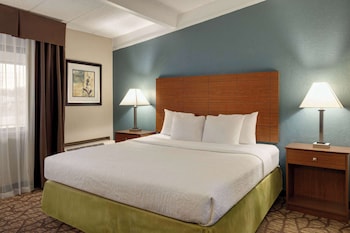 Room, 1 King Bed, Non Smoking