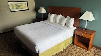 Room, 1 King Bed, Non Smoking, Kitchenette