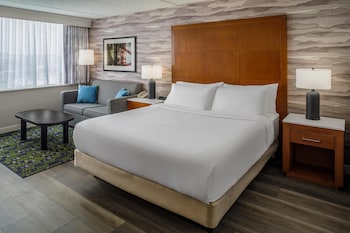 Room, 1 King Bed with Sofa bed (with Shower)