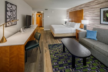 Room, 1 King Bed with Sofa bed (with Shower)