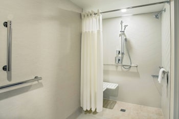 Room, 1 King Bed (Mobility/Hearing Access, Roll-in Shwr)